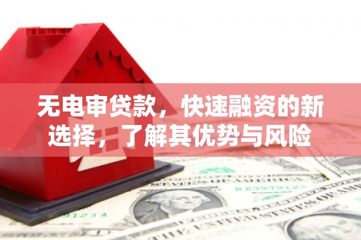 浮梁无电审贷款，快速融资的新选择，了解其优势与风险