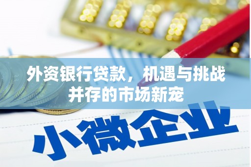 浮梁外资银行贷款，机遇与挑战并存的市场新宠
