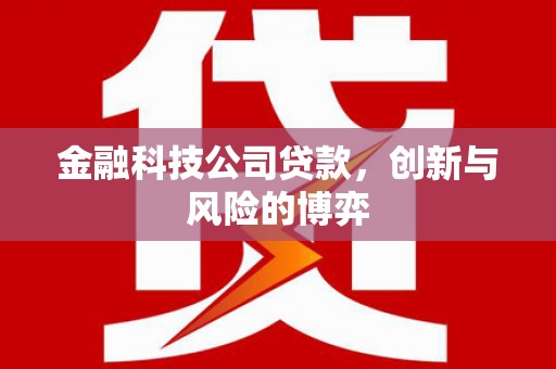 浮梁金融科技公司贷款，创新与风险的博弈