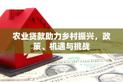 浮梁农业贷款助力乡村振兴，政策、机遇与挑战