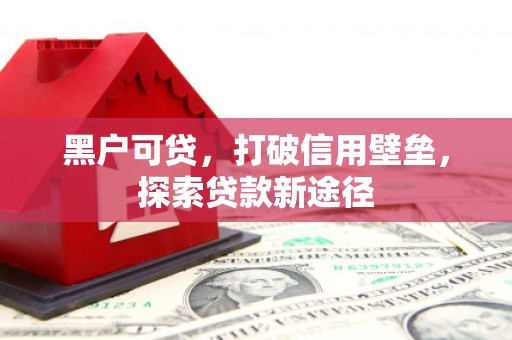 浮梁黑户可贷，打破信用壁垒，探索贷款新途径