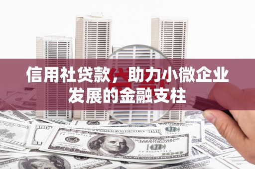 浮梁信用社贷款，助力小微企业发展的金融支柱