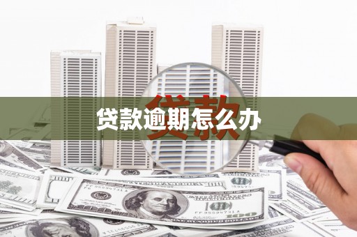 浮梁贷款逾期怎么办
