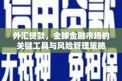 浮梁外汇贷款，全球金融市场的关键工具与风险管理策略