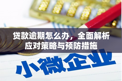 浮梁贷款逾期怎么办，全面解析应对策略与预防措施