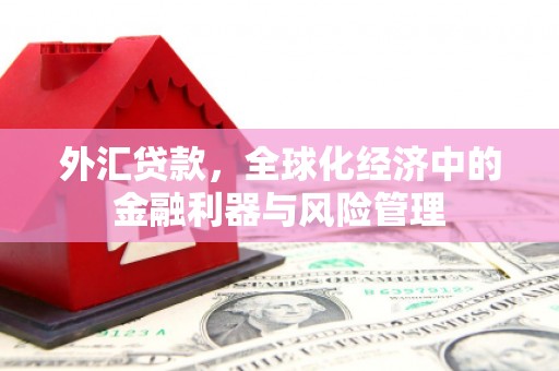 浮梁外汇贷款，全球化经济中的金融利器与风险管理
