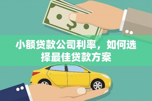 浮梁小额贷款公司利率，如何选择最佳贷款方案