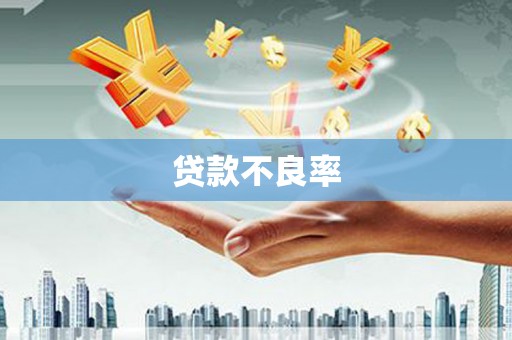 浮梁贷款不良率