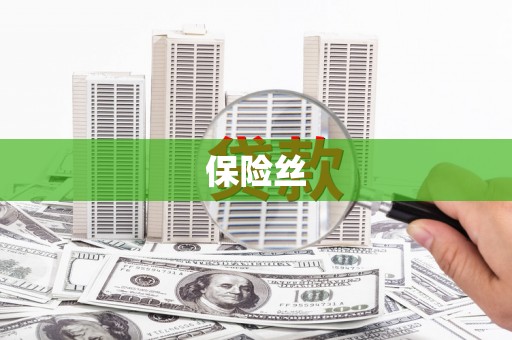 浮梁保险丝