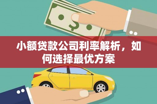 浮梁小额贷款公司利率解析，如何选择最优方案