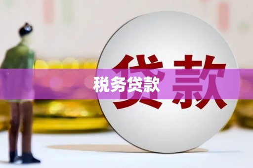 浮梁税务贷款