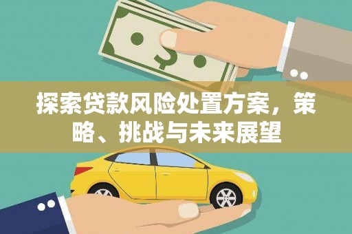浮梁探索贷款风险处置方案，策略、挑战与未来展望