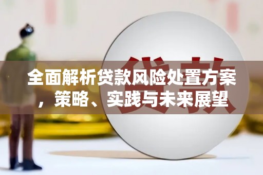 浮梁全面解析贷款风险处置方案，策略、实践与未来展望