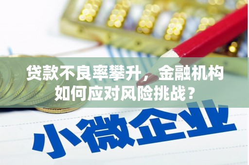 浮梁贷款不良率攀升，金融机构如何应对风险挑战？