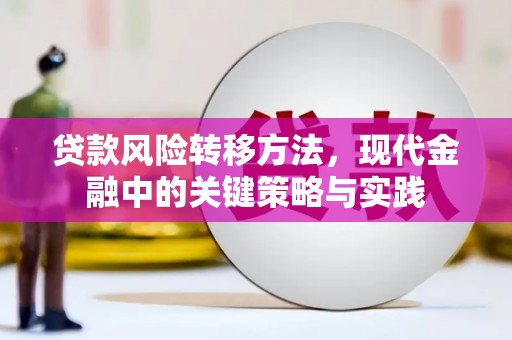 浮梁贷款风险转移方法，现代金融中的关键策略与实践