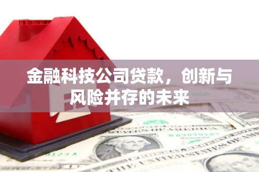 浮梁金融科技公司贷款，创新与风险并存的未来