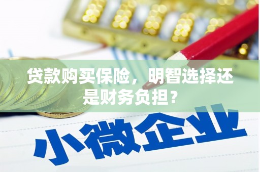 浮梁贷款购买保险，明智选择还是财务负担？
