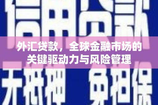 浮梁外汇贷款，全球金融市场的关键驱动力与风险管理