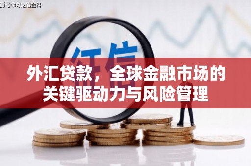 浮梁外汇贷款，全球金融市场的关键驱动力与风险管理