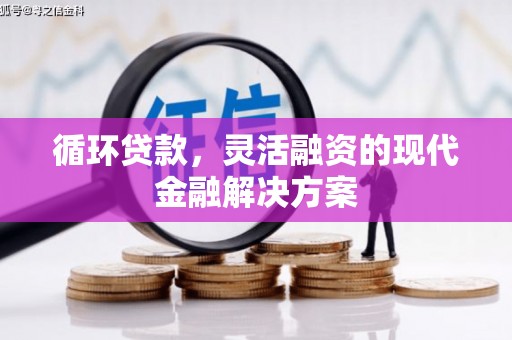 浮梁循环贷款，灵活融资的现代金融解决方案