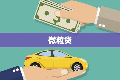 浮梁微粒贷