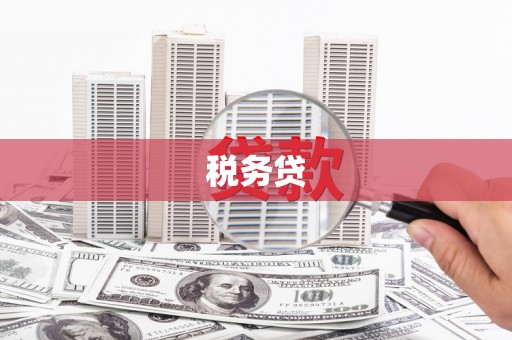 浮梁税务贷