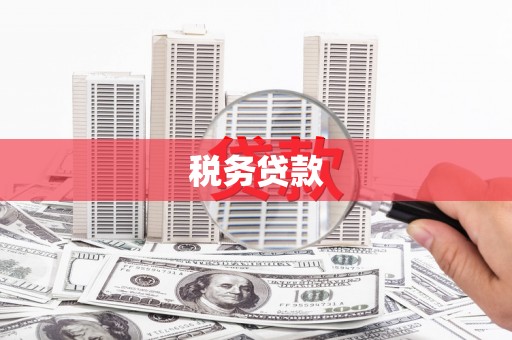 浮梁税务贷款