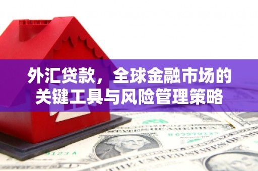 浮梁外汇贷款，全球金融市场的关键工具与风险管理策略