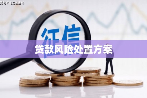 浮梁贷款风险处置方案