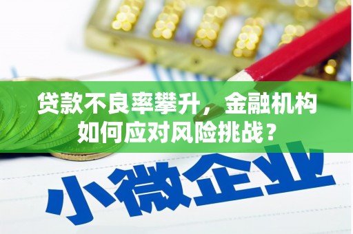 浮梁贷款不良率攀升，金融机构如何应对风险挑战？