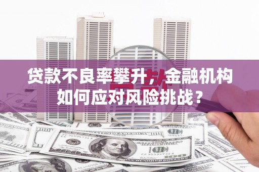 浮梁贷款不良率攀升，金融机构如何应对风险挑战？