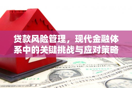 浮梁贷款风险管理，现代金融体系中的关键挑战与应对策略