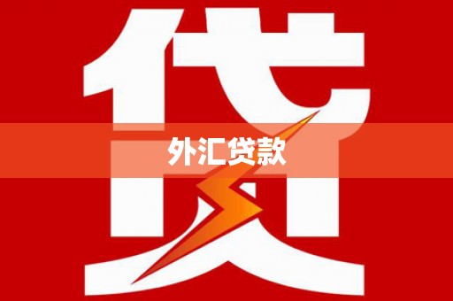 浮梁外汇贷款