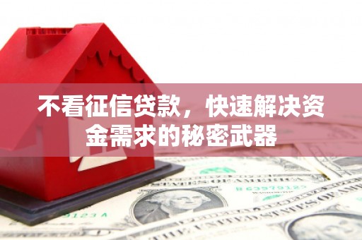浮梁不看征信贷款，快速解决资金需求的秘密武器