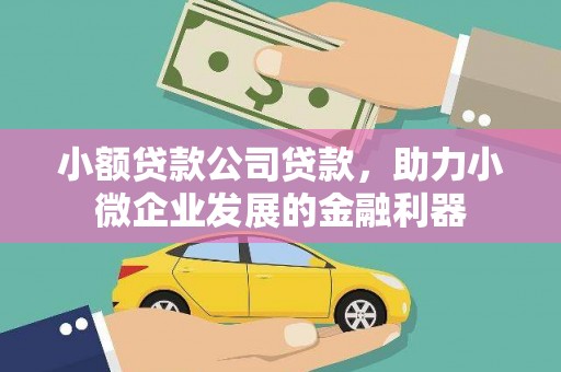 浮梁小额贷款公司贷款，助力小微企业发展的金融利器