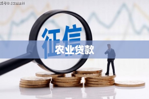 浮梁农业贷款