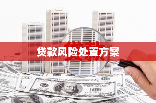 浮梁贷款风险处置方案