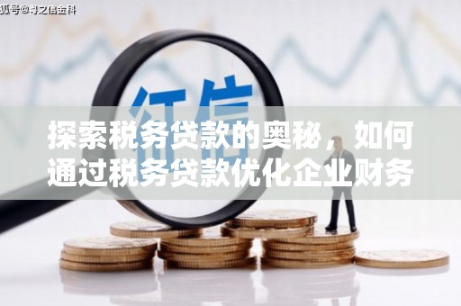 浮梁探索税务贷款的奥秘，如何通过税务贷款优化企业财务