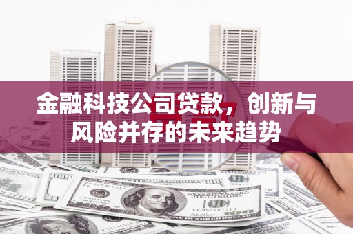浮梁金融科技公司贷款，创新与风险并存的未来趋势