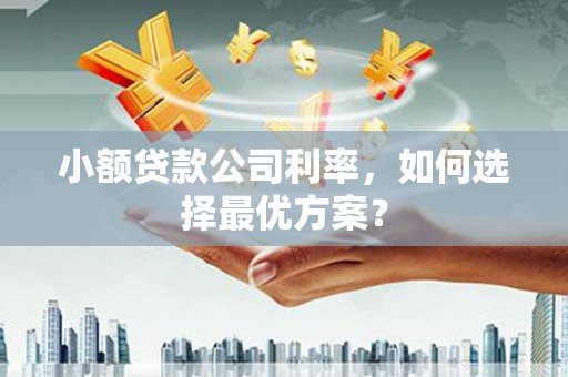 浮梁小额贷款公司利率，如何选择最优方案？