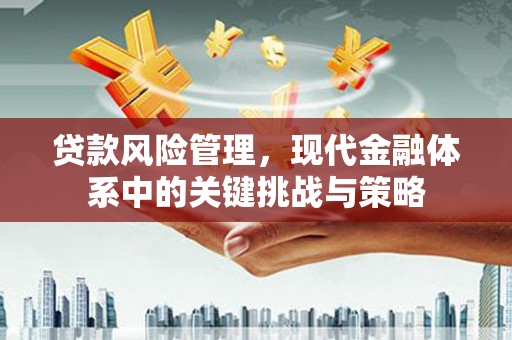 浮梁贷款风险管理，现代金融体系中的关键挑战与策略