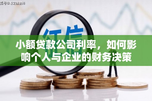 浮梁小额贷款公司利率，如何影响个人与企业的财务决策