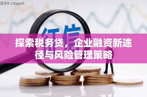 浮梁探索税务贷，企业融资新途径与风险管理策略