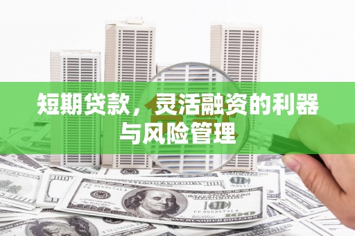 浮梁短期贷款，灵活融资的利器与风险管理
