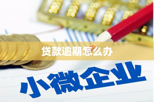 浮梁贷款逾期怎么办