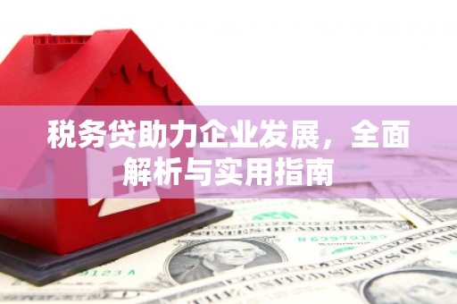 浮梁税务贷助力企业发展，全面解析与实用指南