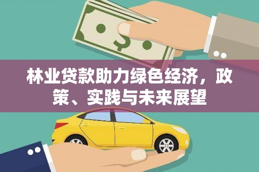 浮梁林业贷款助力绿色经济，政策、实践与未来展望