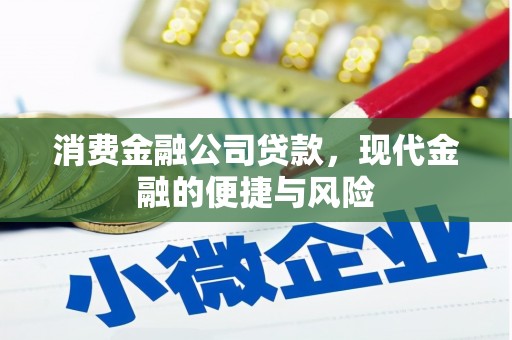 浮梁消费金融公司贷款，现代金融的便捷与风险