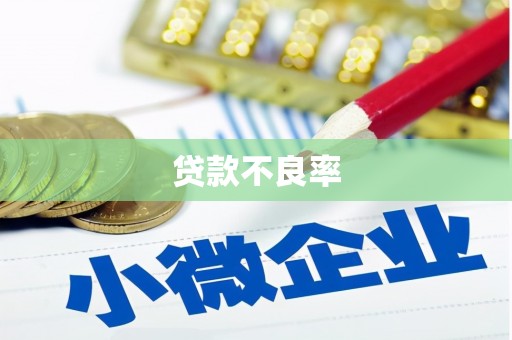 浮梁贷款不良率