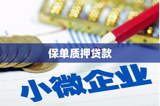 浮梁保单质押贷款